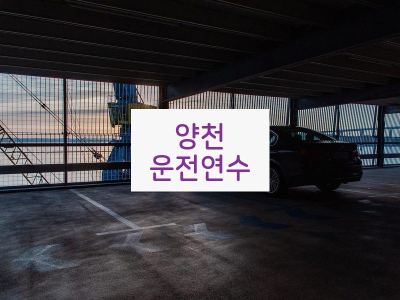 양천운전연수 후기