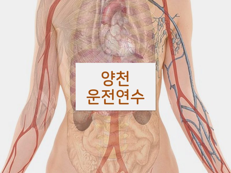 양천운전연수 후기