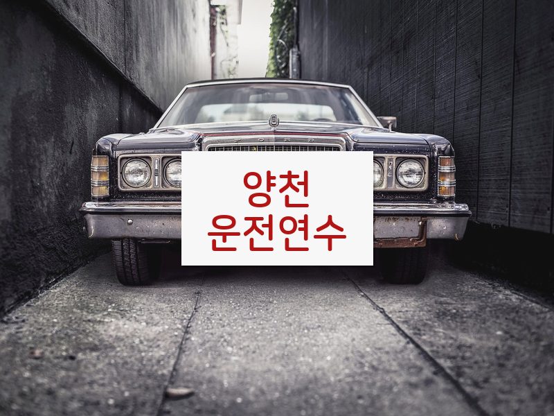 양천운전연수 후기