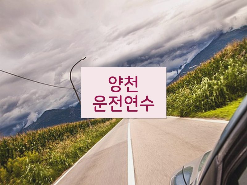 양천운전연수 후기