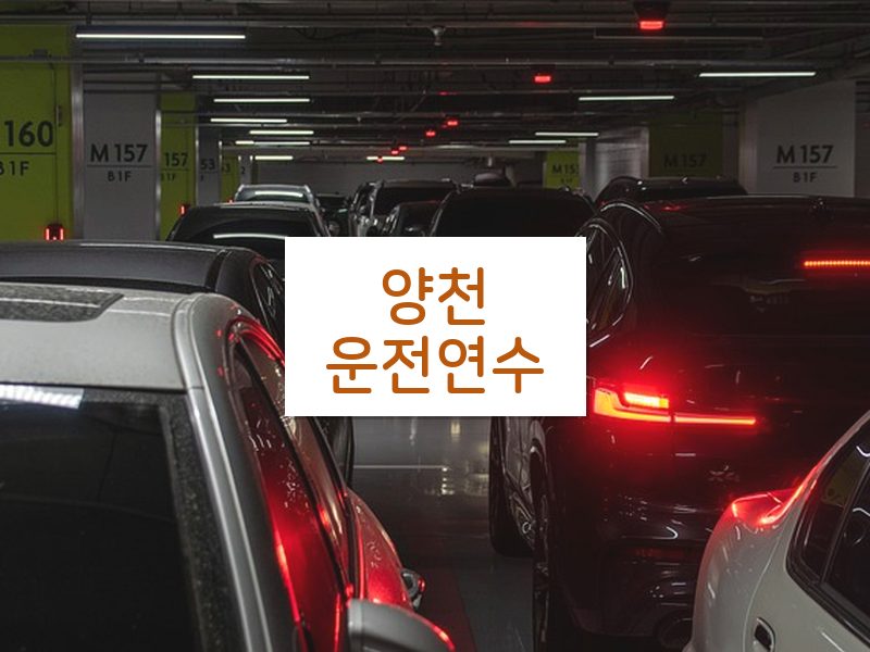 양천운전연수 후기