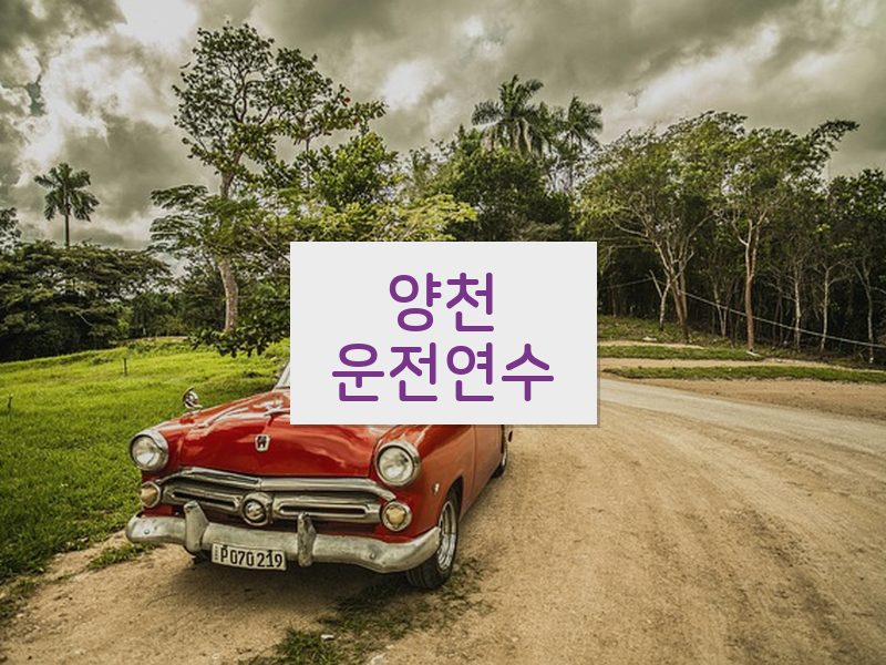 양천운전연수 후기