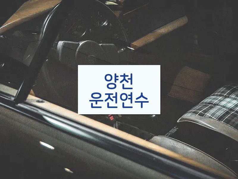 양천운전연수 후기