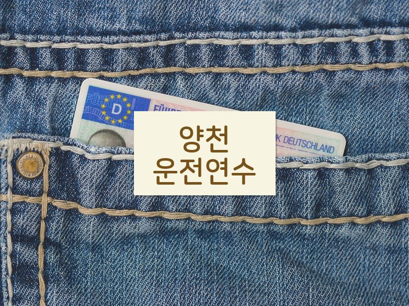 양천운전연수 후기