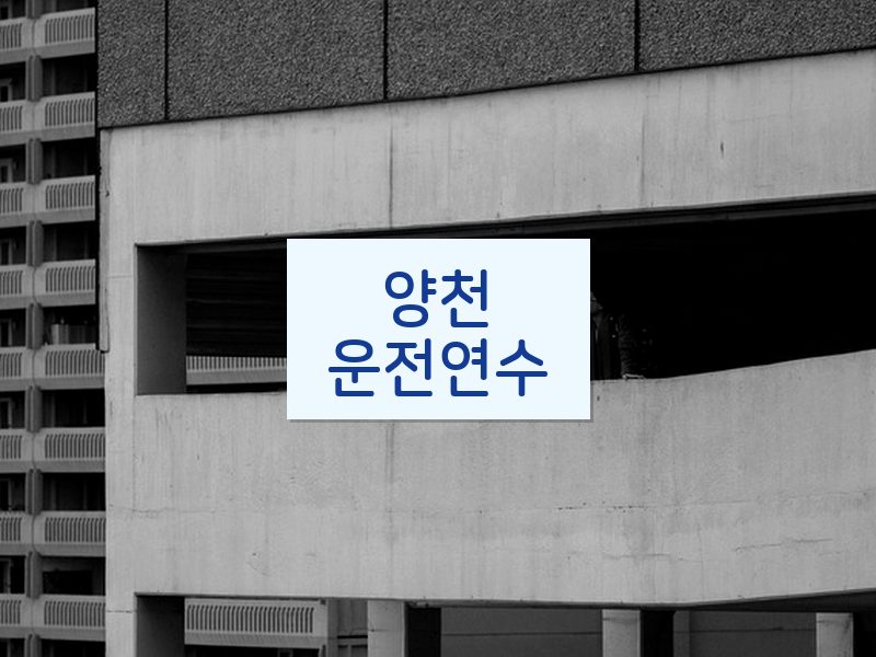 양천운전연수 후기