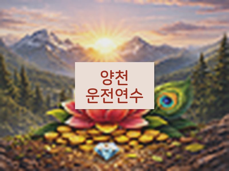 양천운전연수 후기