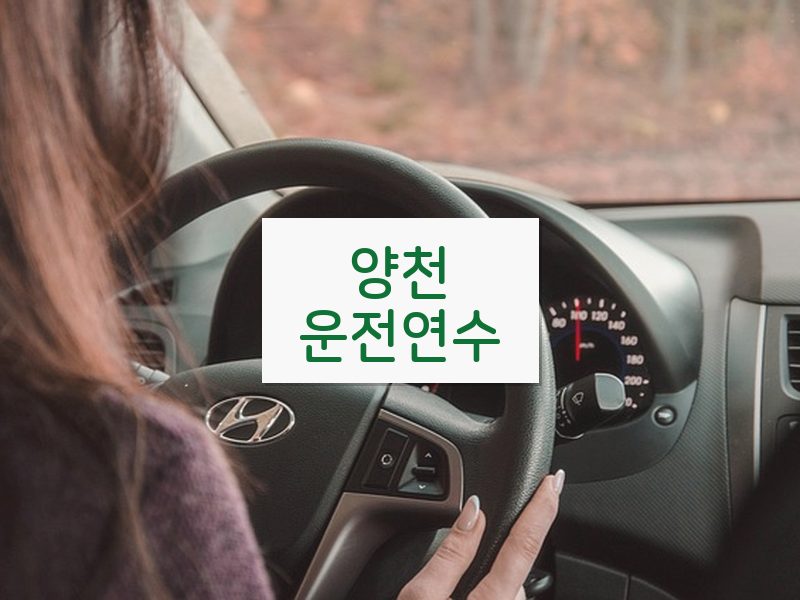 양천운전연수 후기