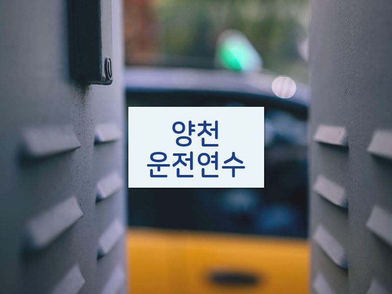 양천운전연수 후기