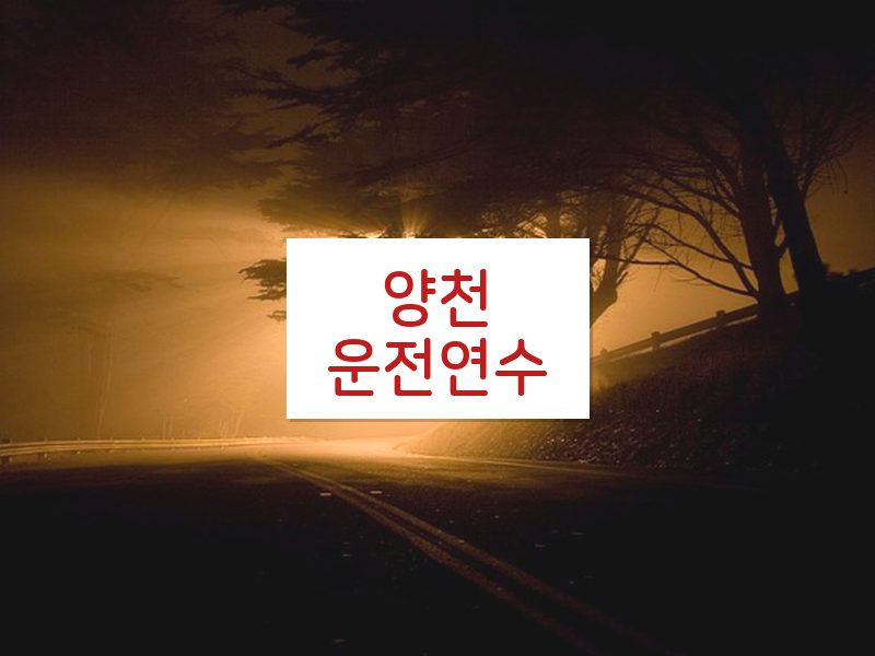 양천운전연수 후기