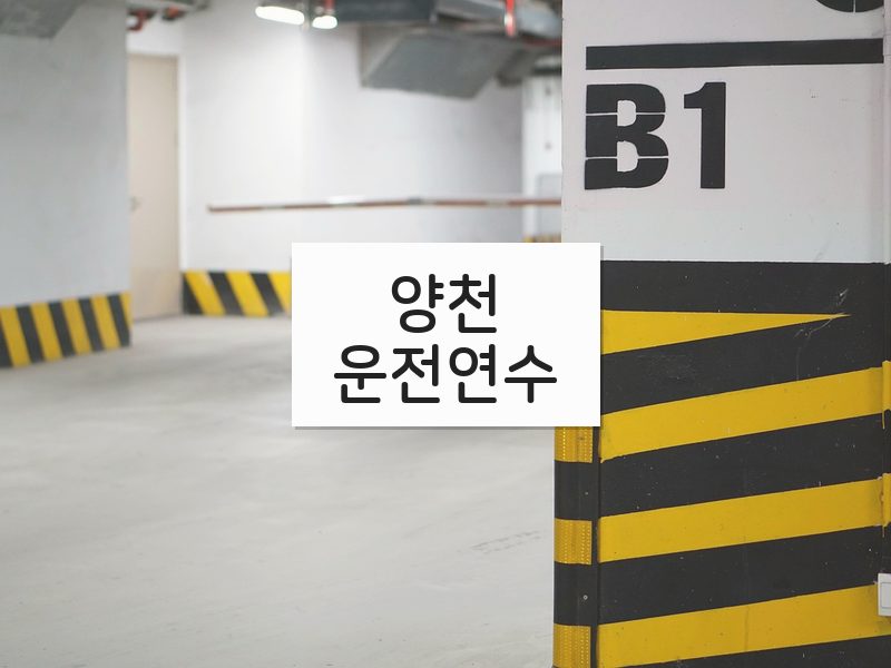 양천운전연수 후기