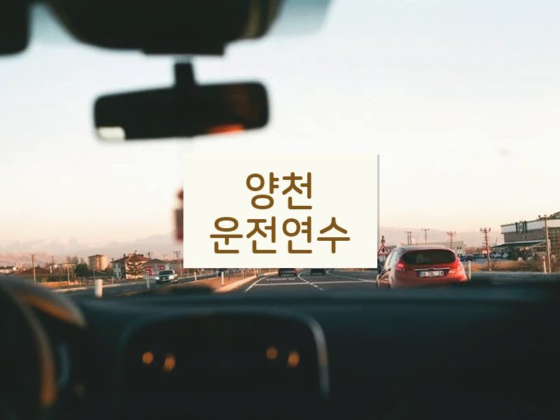 양천운전연수 후기