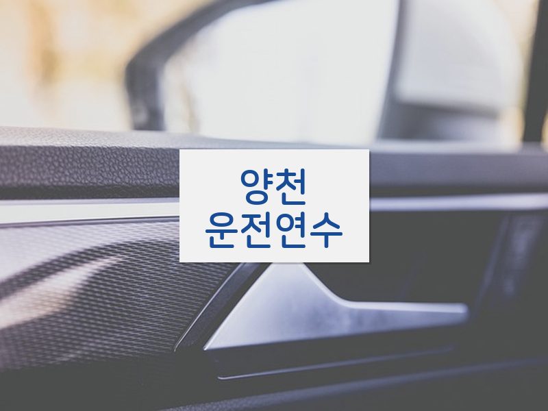 양천운전연수 후기