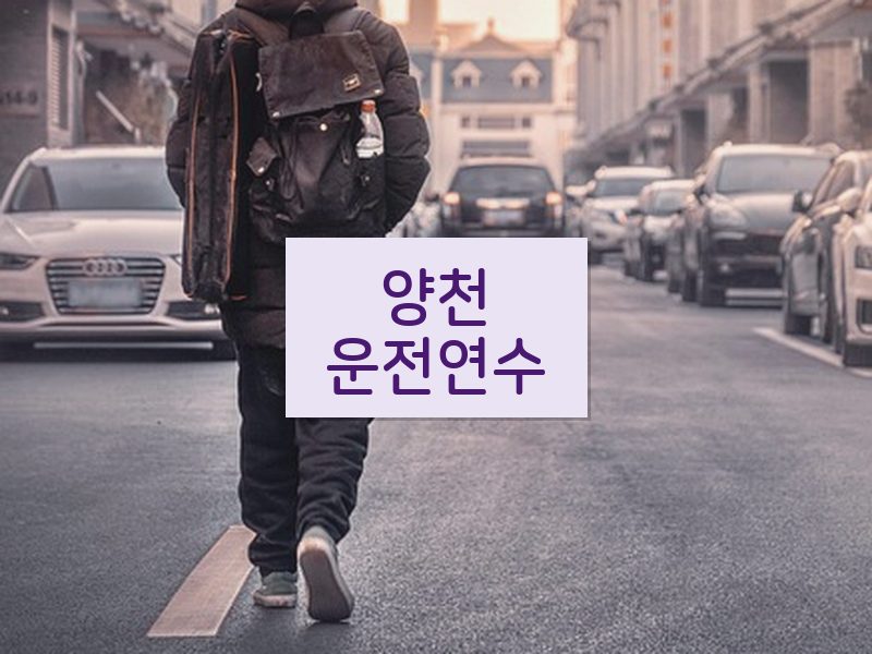 양천운전연수 후기