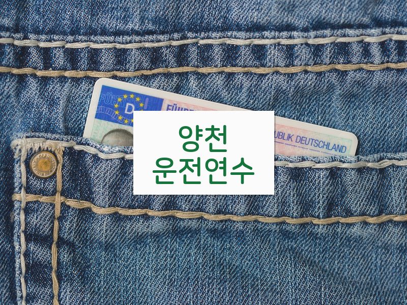양천운전연수 후기