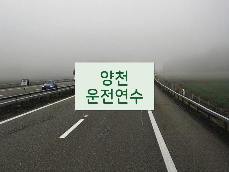 양천운전연수 후기