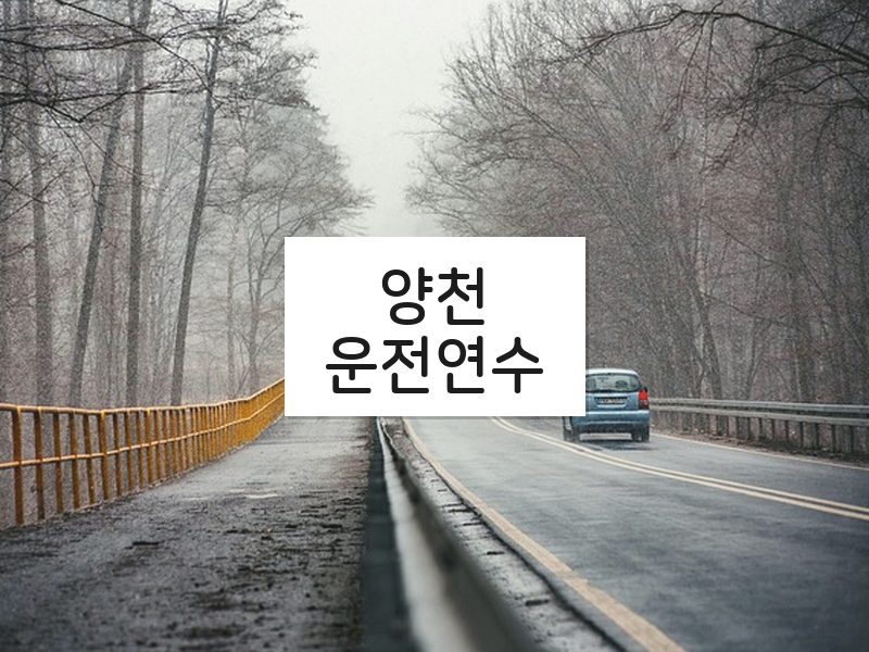 양천운전연수 후기