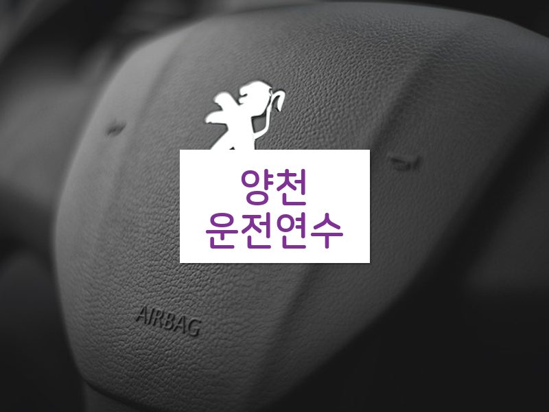 양천운전연수 후기