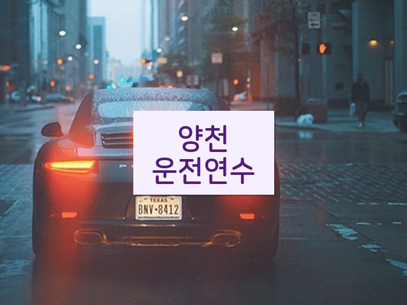 양천운전연수 후기