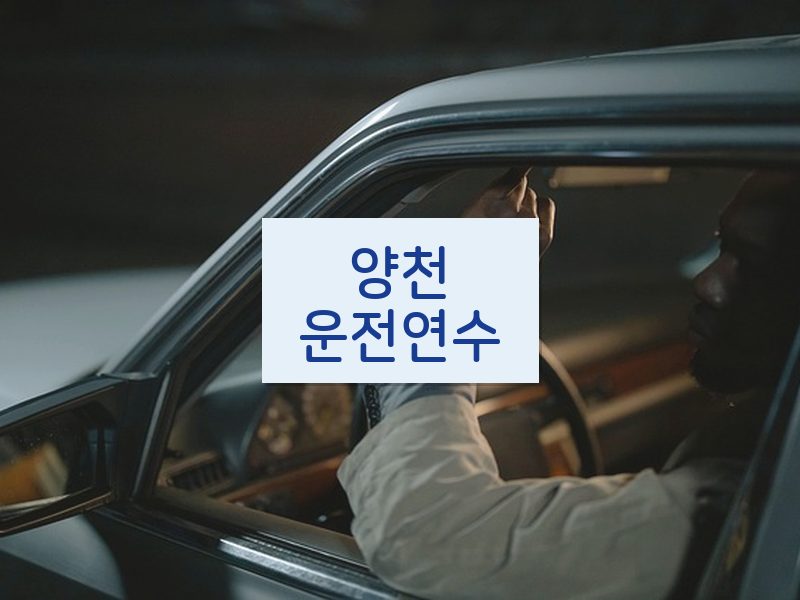 양천운전연수 후기