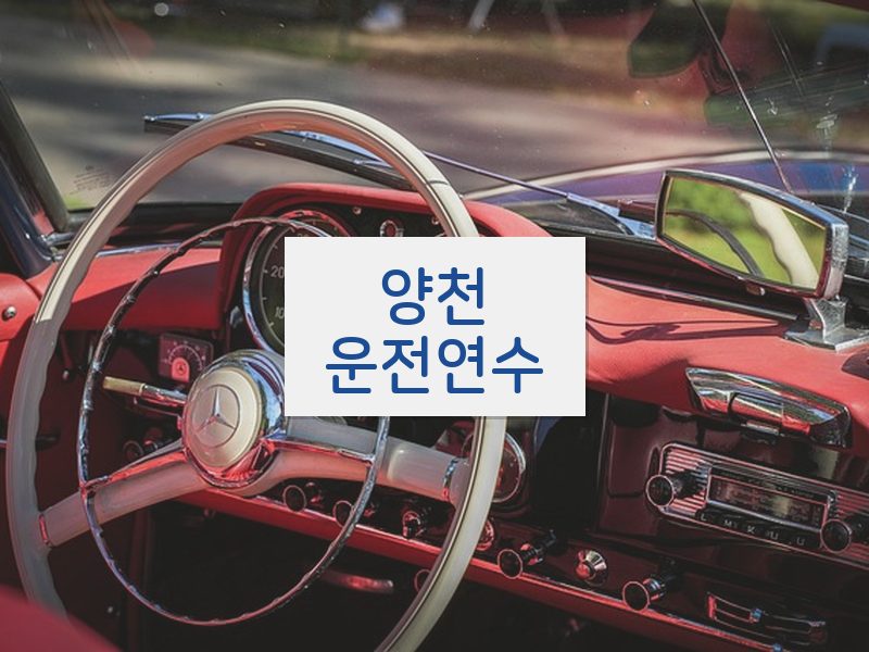 양천운전연수 후기