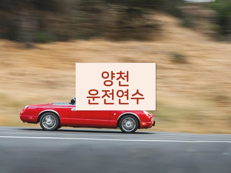 양천운전연수 후기