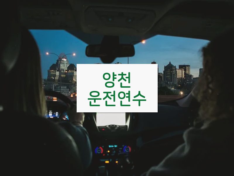양천운전연수 후기