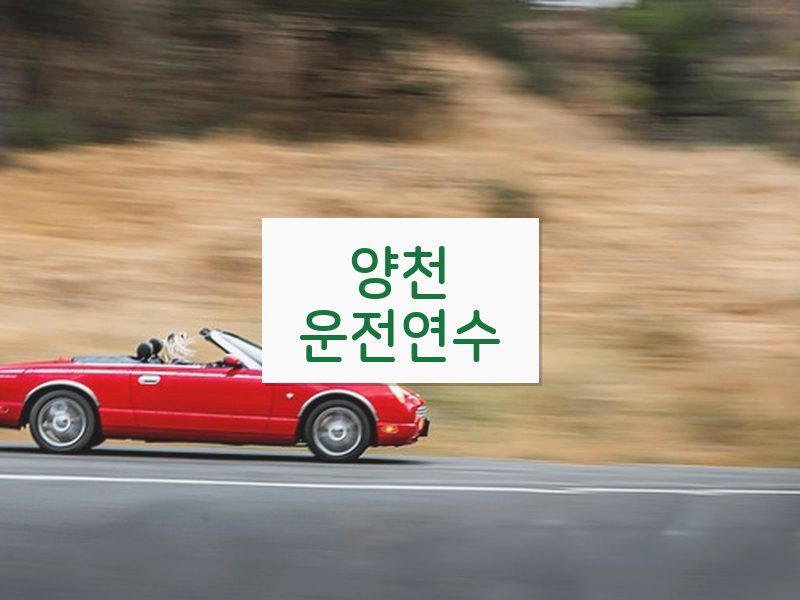 양천운전연수 후기