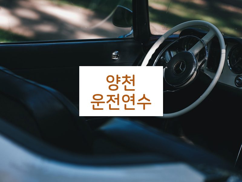 양천운전연수 후기
