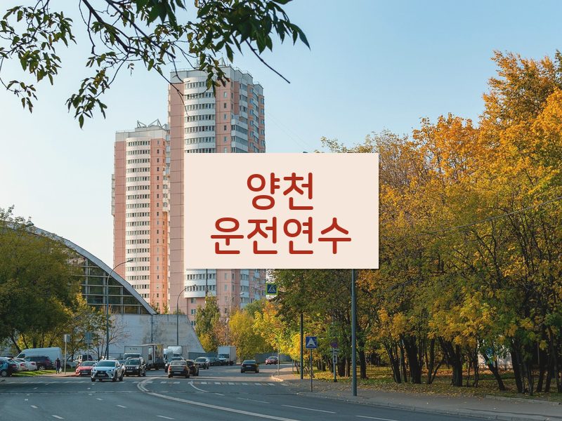 양천운전연수 후기