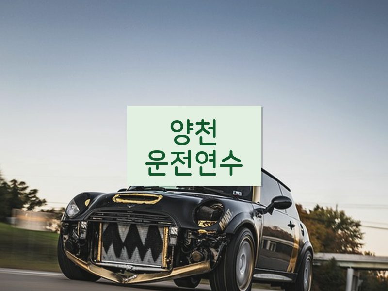 양천운전연수 후기