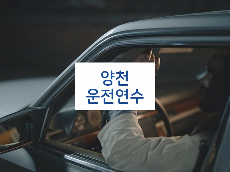 양천운전연수 후기