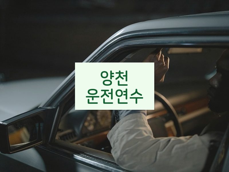 양천운전연수 후기