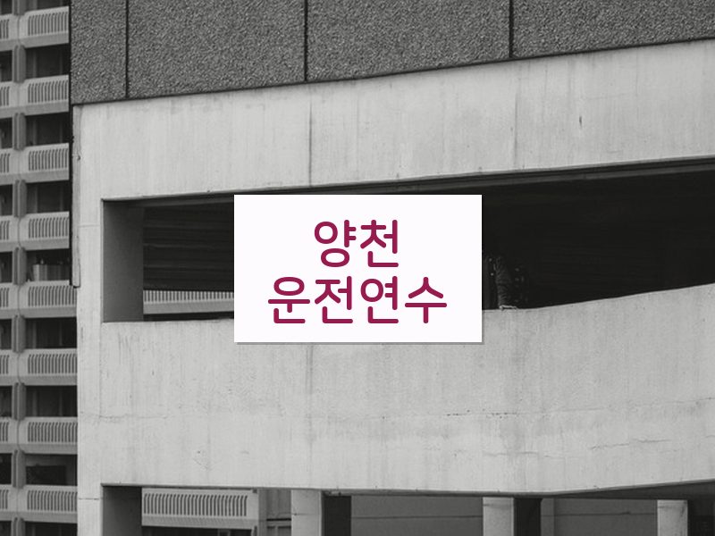 양천운전연수 후기
