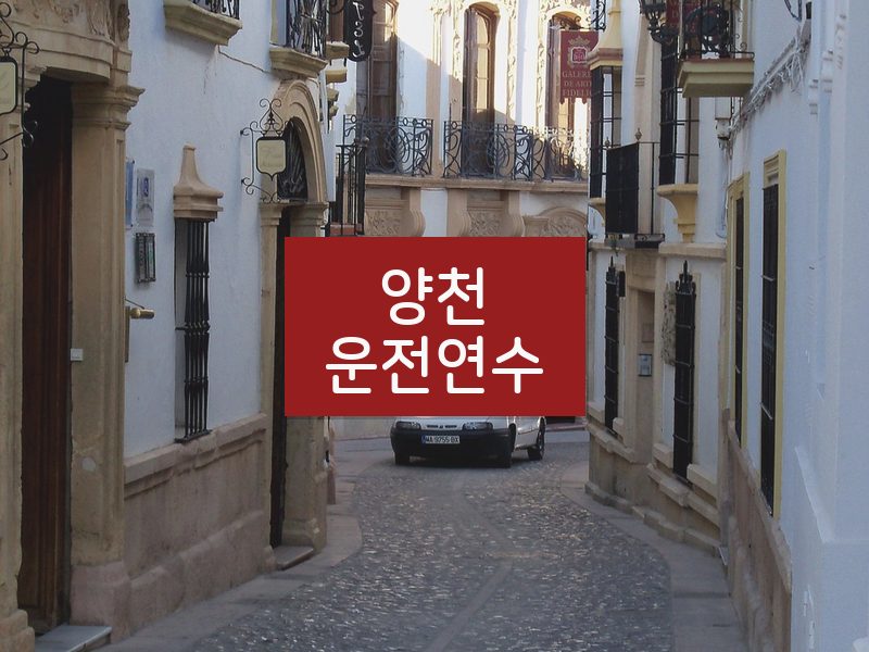 양천운전연수 후기