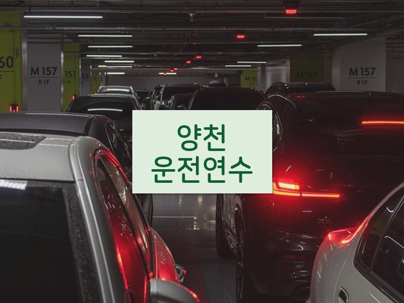 양천운전연수 후기