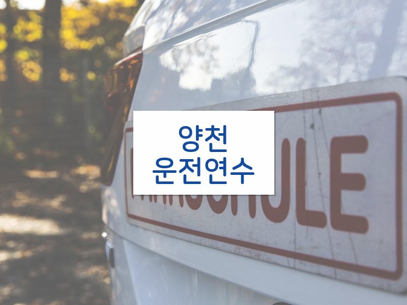 양천운전연수 후기