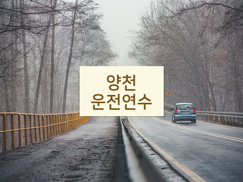 양천운전연수 후기