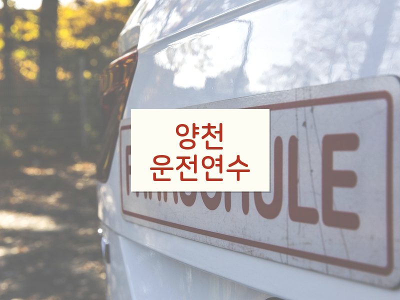 양천운전연수 후기