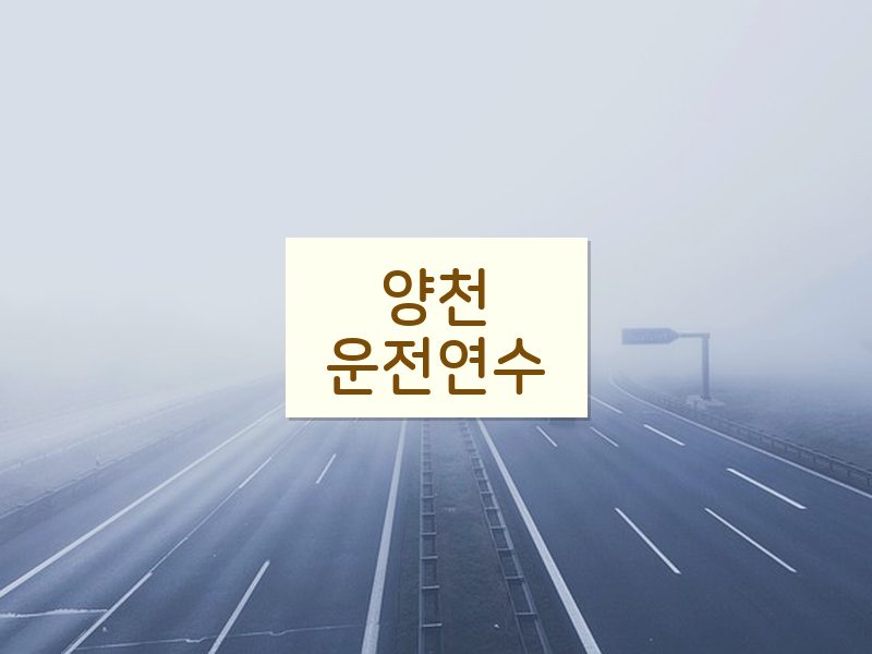 양천운전연수 후기