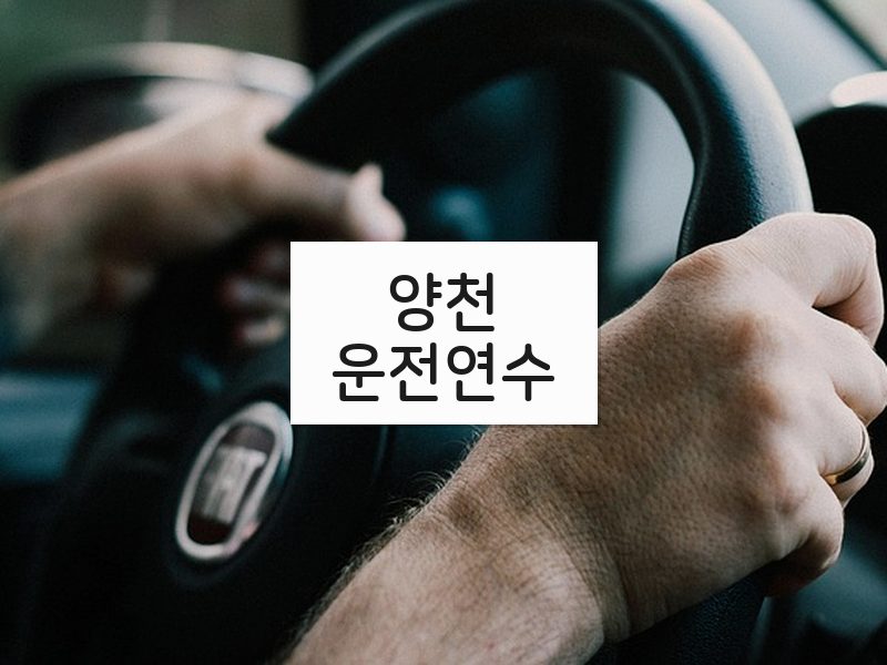 양천운전연수 후기