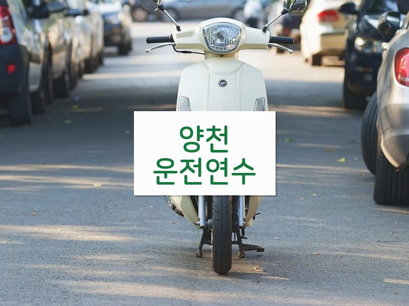 양천운전연수 후기