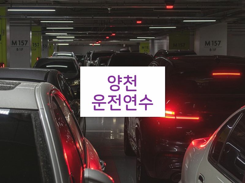 양천운전연수 후기