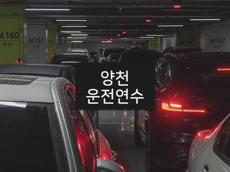 양천운전연수 후기