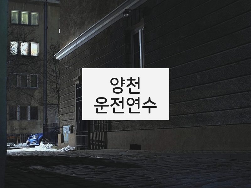 양천운전연수 후기