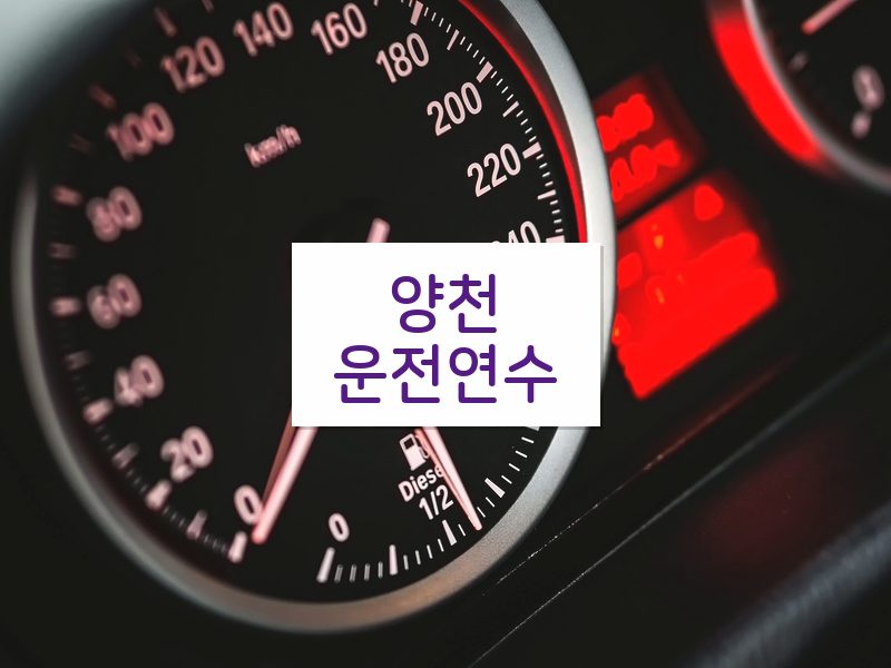 양천운전연수 후기