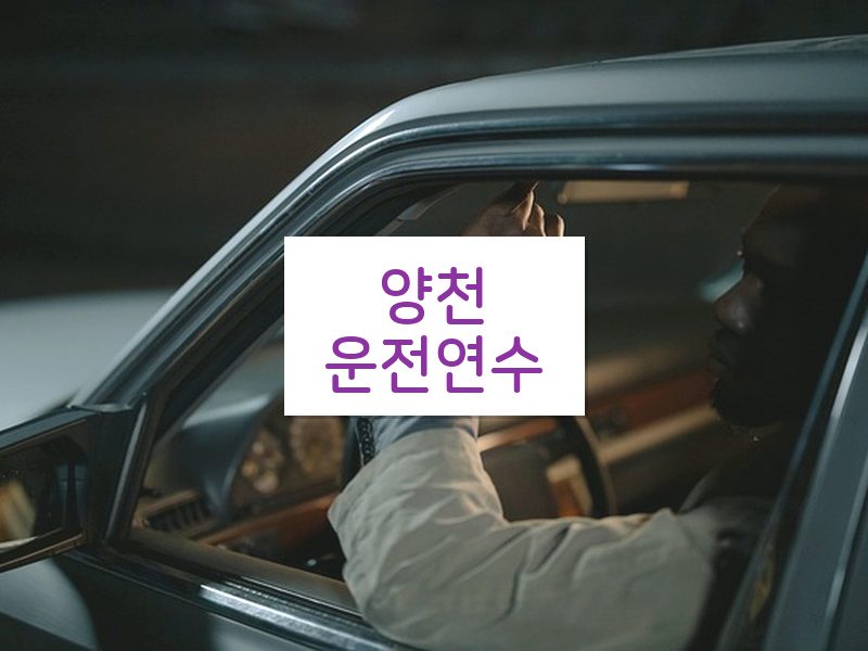 양천운전연수 후기