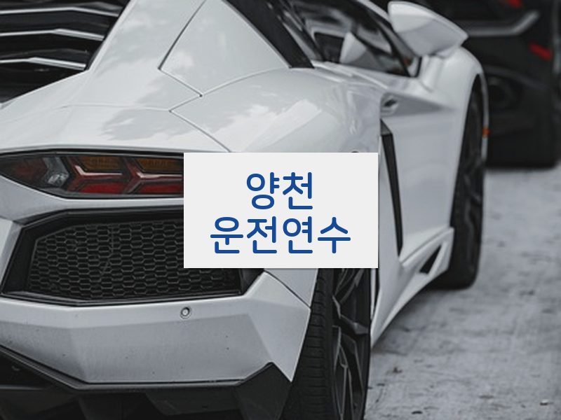 양천운전연수 후기