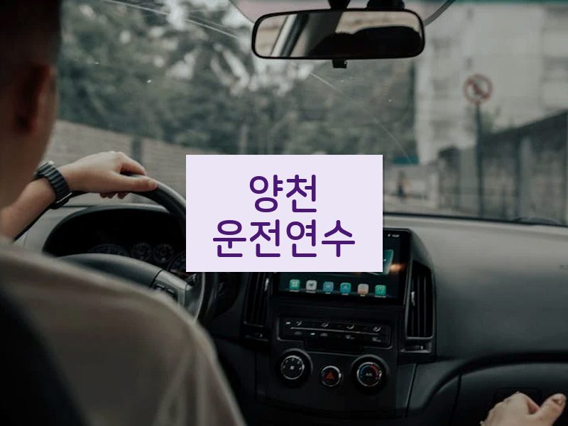 양천운전연수 후기