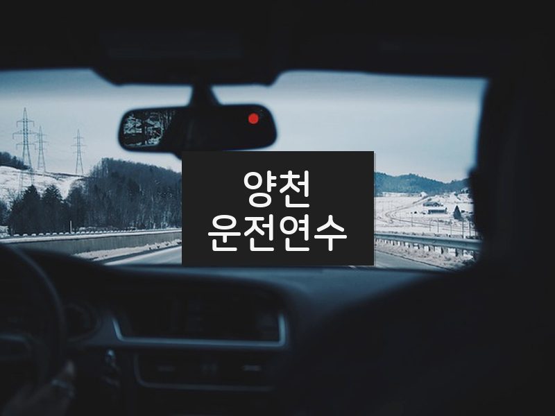 양천운전연수 후기