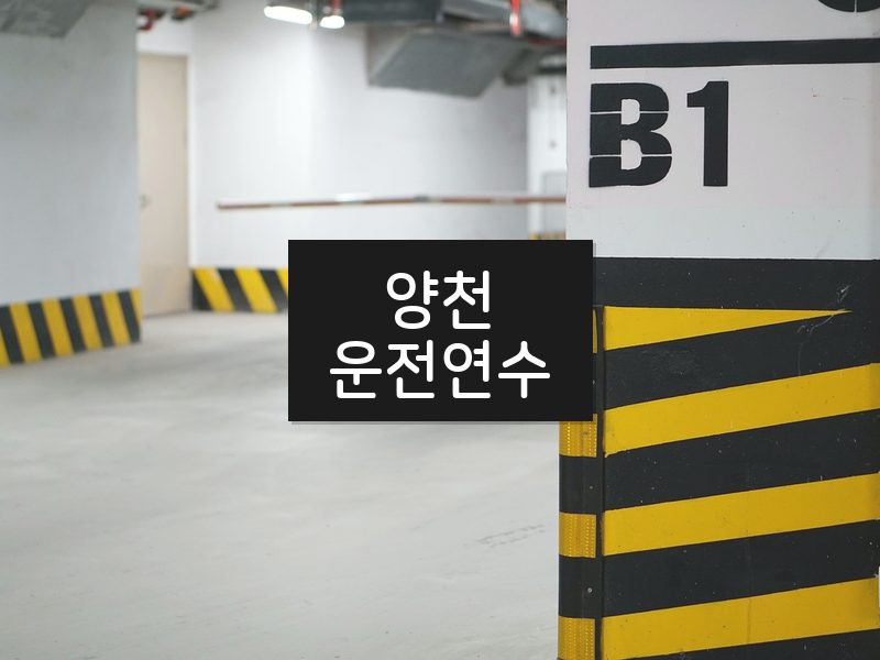양천운전연수 후기
